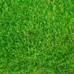 Best Landscaping Companies in Waukesha WI